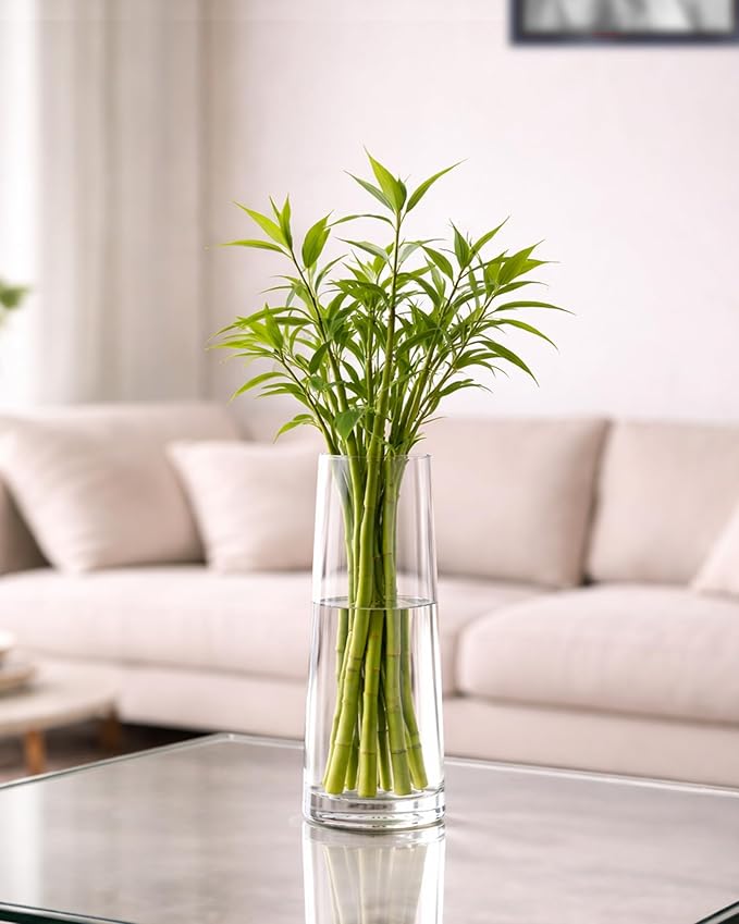 Homesake® Glass Vase for Plants Flowers (Transparent, 29 cm X 8 cm) - Living Room Glass Vase Pot for Water Plants Home Décor Dining Table Decoration Bedroom Hall House Warming Gift, Stem, (Small Vase)