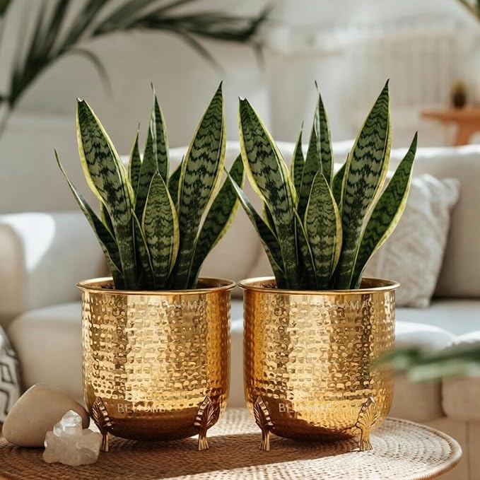 BEHOMA Hammered Gold Metal Planter for Home Decor | Decoratives for Indoor Outdoor Balcony Living Room | Size Height- 6" x Dia. 6" inch | Golden (Plant not Included) (Set of 2)