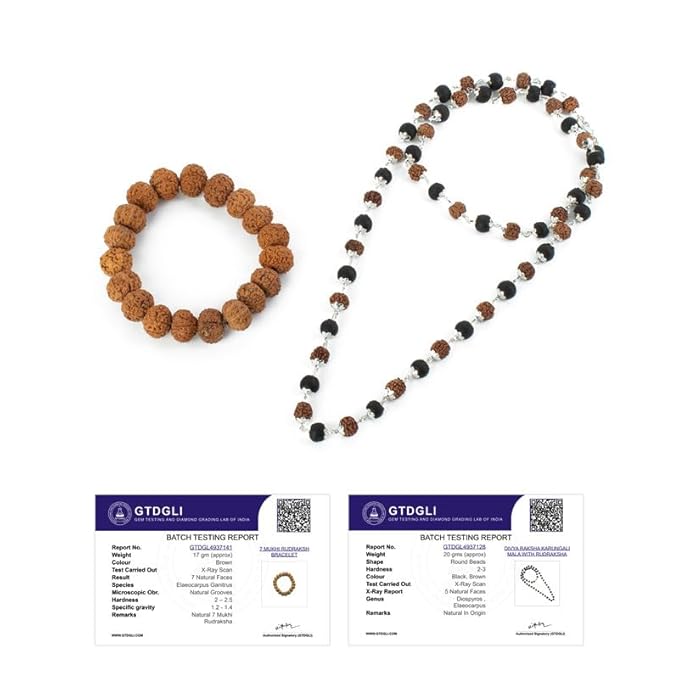 Astrotalk Divya Raksha Rudraksha & Karungali Mala with 7 Mukhi Rudraksha Bracelet | Spiritual Protection, Blessings & Wealth | Natural Ebony Wood Mala | Gift for Man & Woman
