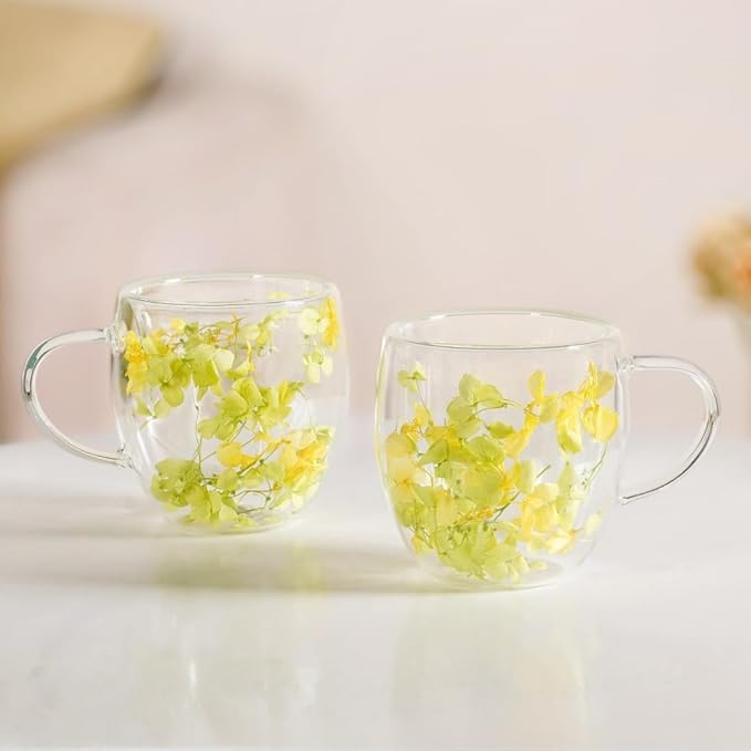 Nestasia Double Wall Glass Mug with Dried Flowers Set of 2 (250ml Each) - Transparent Borosilicate Floral Glass Tea Cups | Lightweight & Durable Coffee Mugs - Perfect for Gifting (Yellow)