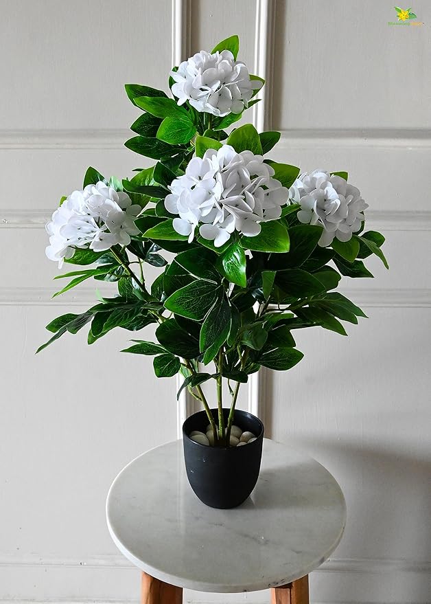 Blooming Floret Artificial Hydrangea 76 cm Tall Plant for Interior Decor/Home Decor/Office Decor | 4 Flower Heads | White Color | Plant with Basic Black Pot | Big Natural Looking Ornamental Plant
