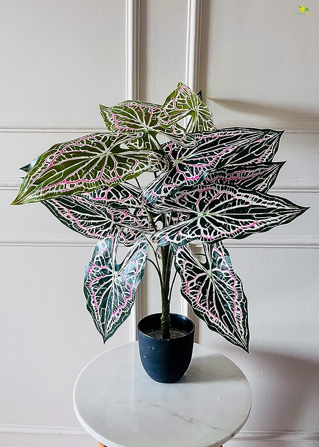 Blooming Floret Artificial Caladium Plant | with Basic Black Pot | 12 Leaves with Web Pattern | Big Ornamental Plant for Interior Decor/Home Decor/Office Decor | 78.7 cm Tall Durable Plant