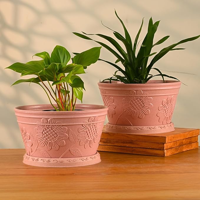 Eha Earth Friendly Nile Planter 9.5 inch Planters for Home Decor| Bamboo Based Plant Pot | Pack of 2 | UV Protected Pot for Plant | Flower Pot for Living Room, for Outdoor and Indoor | Innocent