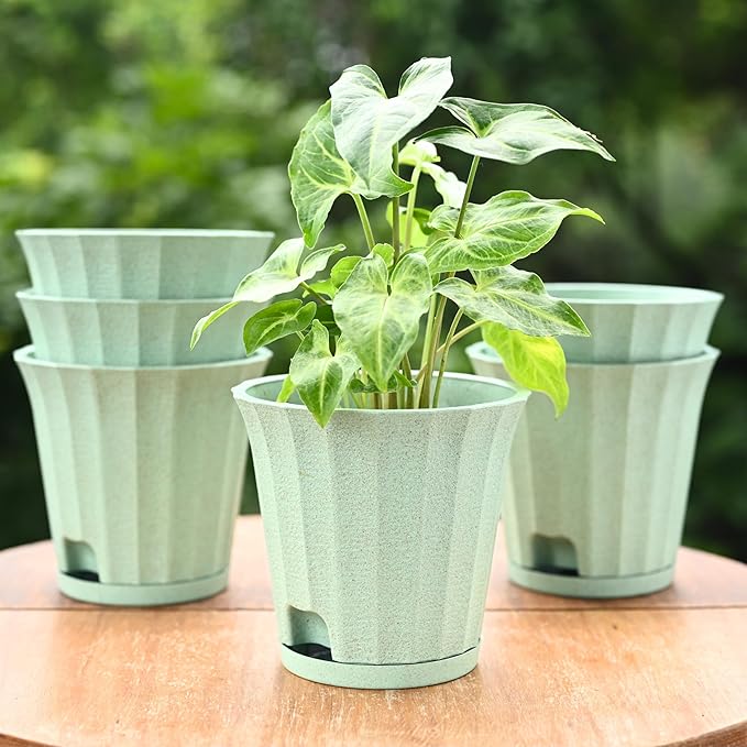 Eha Earth Friendly Ace 5 inch Small Self Watering Pots for Indoor Plants | Set of 6 | Plant Pot Made with Bamboo Fibers | Table Top Planters for Home Decor, Flower Pot for Living Room | Celeste