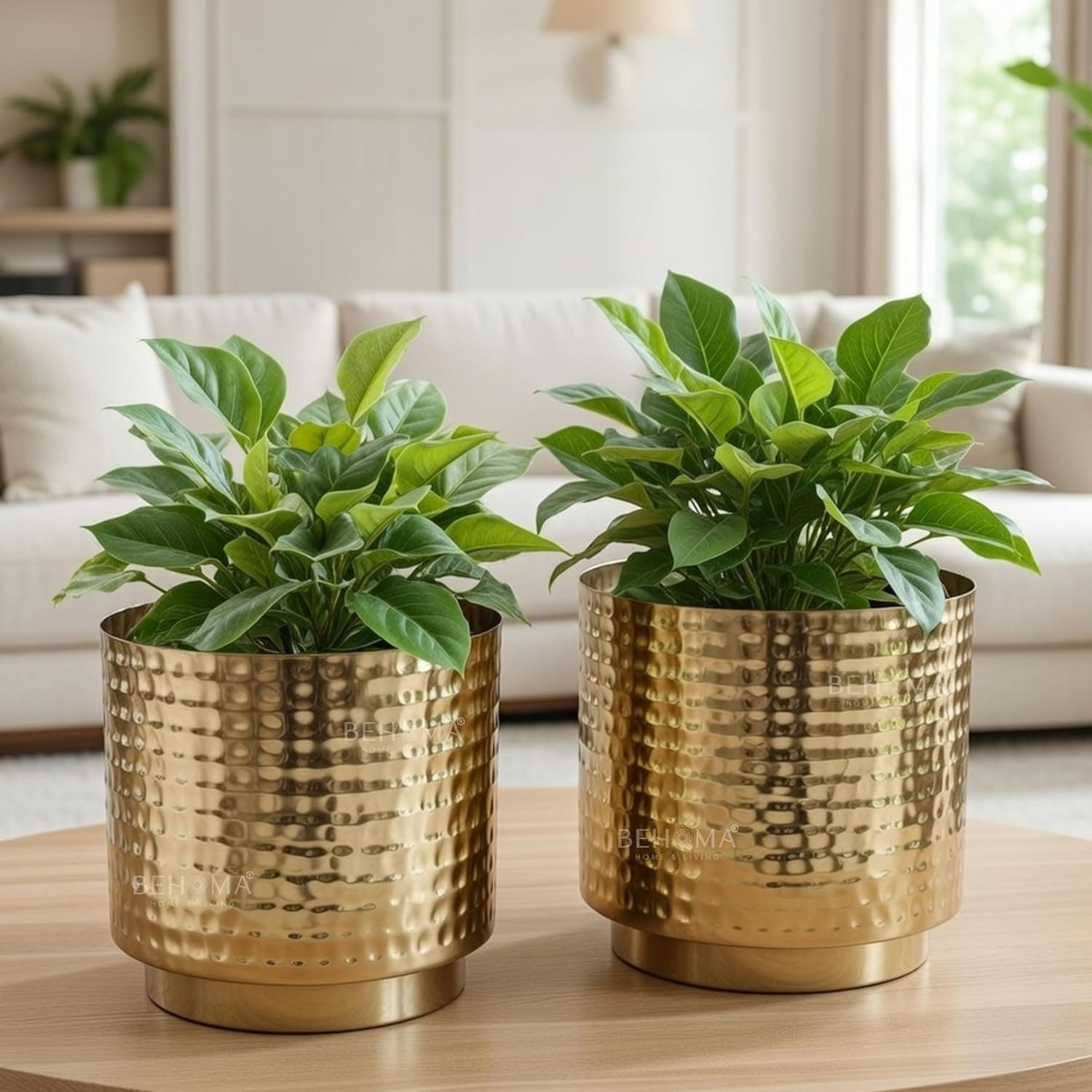 BEHOMA Metal Hammered Golden Mini Table top Planter for Home Decoration | Plant Pots for Home Living Room Bedroom Office Decor | Set of 2 (Plants not Included)